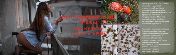 2c-b Верея