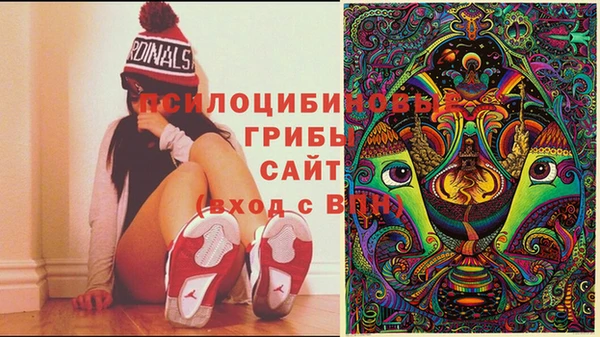 2c-b Верея