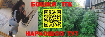 гашик Тулун