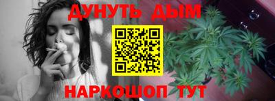 гашик Тулун