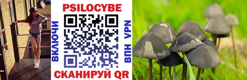 Галлюциногенные грибы прущие грибы  Северобайкальск 
