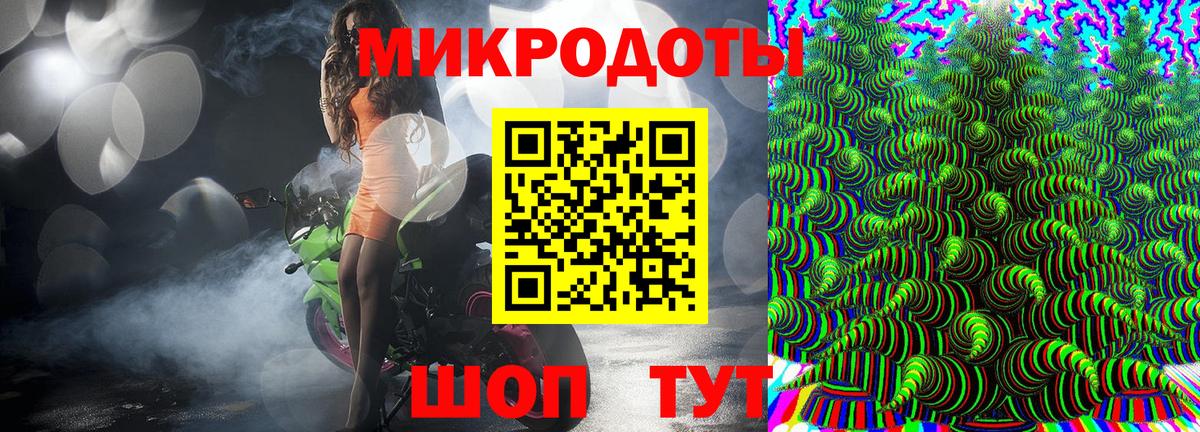 Псилоцибиновые грибы Cubensis  Вход с VPN  Северобайкальск 