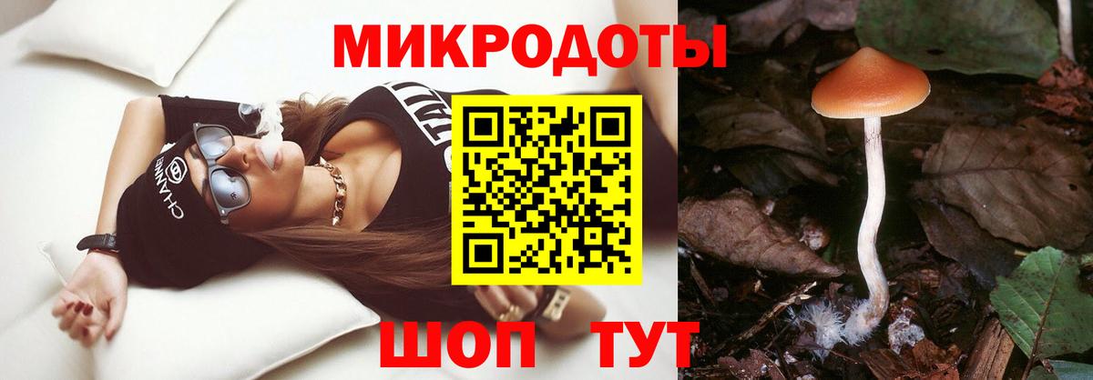 Галлюциногенные грибы Cubensis Северобайкальск